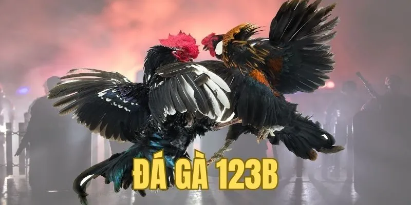 Lô đề 123B cung cấp trải nghiệm thú vị bằng vận may